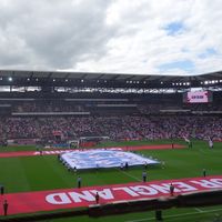 lionessesgame