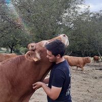theo_goursola1