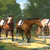 notmehorseriderjumping