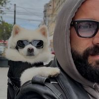 balkandogdad