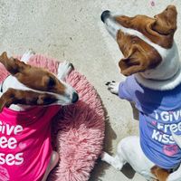 molly_bea._and_.friends