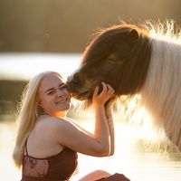 paula.horselife