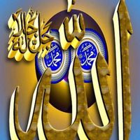 yasminabdi8315