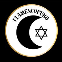 flamencopuro65