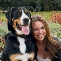 kyra_the_lovely_swissy