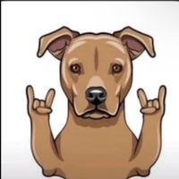 TikTok Account - https://p16-pu-ie.tiktokcdn-eu.com/tos-useast2a-avt-0068-euttp/351e266d726564c3f650f6b9fe21c179~tplv-tiktokx-cropcenter:200:200.jpeg