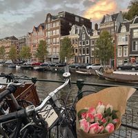 memory_off_aubreighwyatt