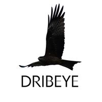 dribeye_
