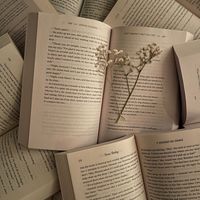 thebookcase.1