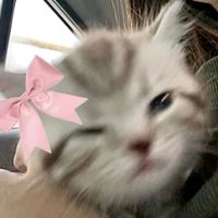 inactiveangelic