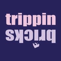 trippinbricks