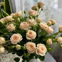 TikTok Account Photo