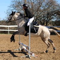 angel_cavalier