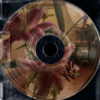 cyxmi.us