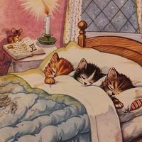 3crazywhiskers