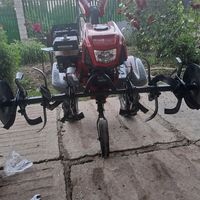 iuracorciu777