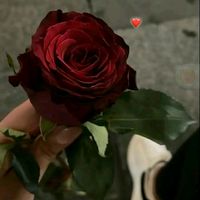 usere_secret007