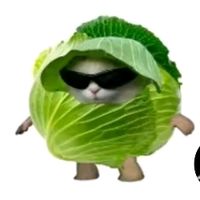 jojoxpinguin