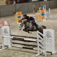horseridingmaya