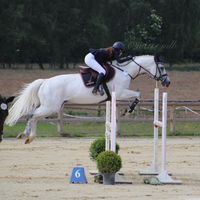 rmc.horses