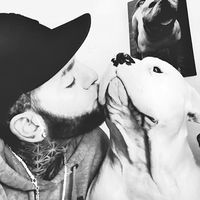 daxter_the_bulldog