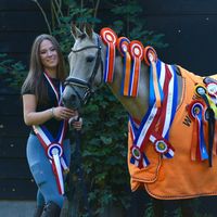 dressage.moenza