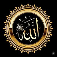 TikTok Account - https://p16-pu-ie.tiktokcdn-eu.com/tos-useast2a-avt-0068-euttp/43ede5e7d40b7391927a333f775f8ca1~tplv-tiktokx-cropcenter:200:200.jpeg