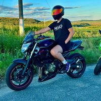sisuu.sxf