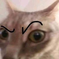 abssquatulateee