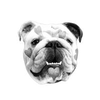 telmatheenglishbulldog