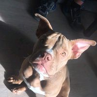 user1708154513413