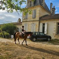 missy...equitation