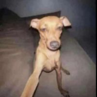 TikTok Account - https://p16-pu-ie.tiktokcdn-eu.com/tos-useast2a-avt-0068-euttp/4800752cac8d83e409d4f26fe43772e4~tplv-tiktokx-cropcenter:200:200.jpeg