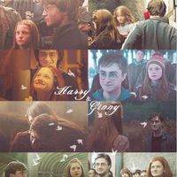 is.itpotter