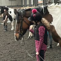 ur.local_equestrain