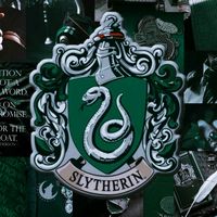 slytherinboysvibebyczys