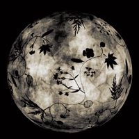 storyborne6