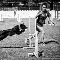 nuny8_dog_trainer