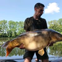 sfcarping