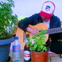 TikTok Account - https://p16-pu-ie.tiktokcdn-eu.com/tos-useast2a-avt-0068-euttp/4d997a6757c113e4237052c87e617572~tplv-tiktokx-cropcenter:200:200.jpeg
