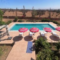 riad.elbadii