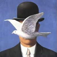 TikTok Account - https://p16-pu-ie.tiktokcdn-eu.com/tos-useast2a-avt-0068-euttp/4f313842f5b997d55d31de13397d920e~tplv-tiktokx-cropcenter:200:200.jpeg