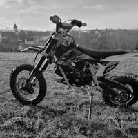 aliciakrause73