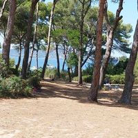 fleury_fouteux
