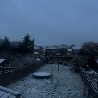 willxw11