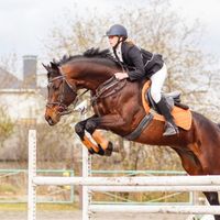 equestrianaudios0