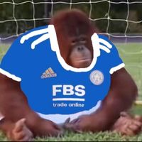 lcfc_monkey