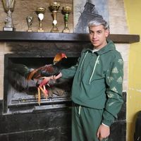 galleroelhuevo200