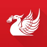TikTok Account - liverpoolecho
