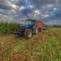 lorenzo_agri